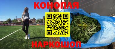 ешки Новодвинск