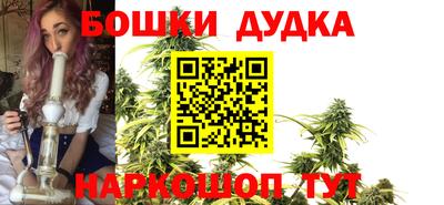 ешки Новодвинск